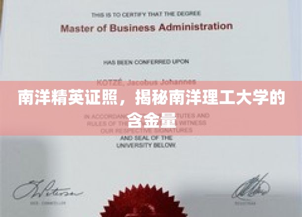 解码南洋理工大学，精英证照背后的价值密码