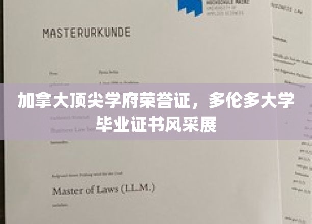 加拿大顶尖学府荣誉证书，多伦多大学毕业证书风采展