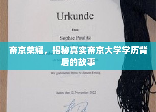帝京之光，探寻帝京大学学历背后的传奇历程