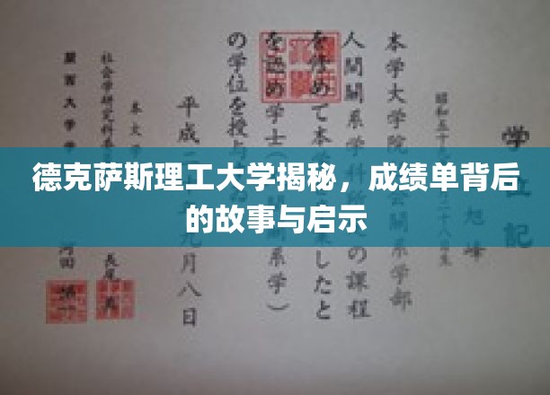 德克萨斯理工大学，解码成绩单背后的智慧与人生启示