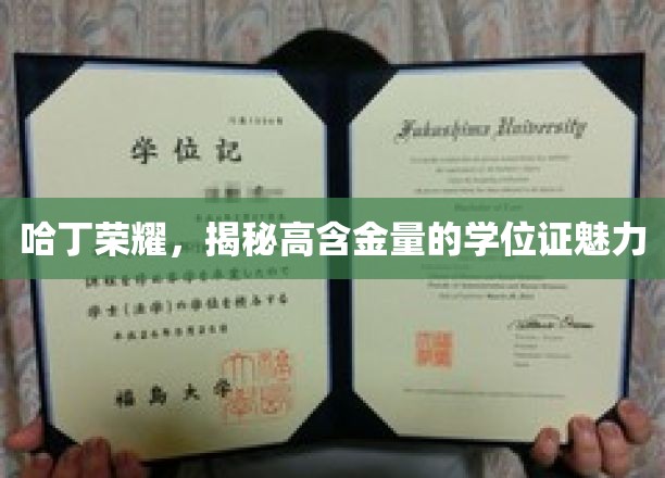 学位证之光，哈丁荣耀背后的高含金量魅力探秘