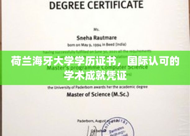 荷兰海牙大学学历证书，国际认可的学术成就凭证