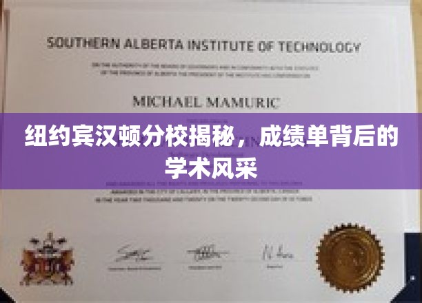 纽约宾汉顿分校揭秘，成绩单背后的学术风采