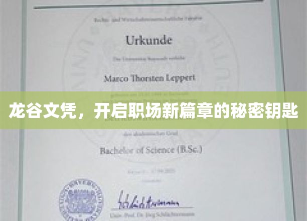 龙谷文凭，开启职场新篇章的秘密钥匙