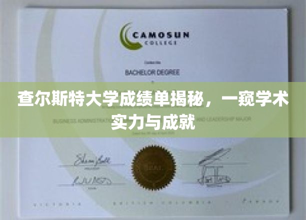 解码查尔斯特大学，揭秘成绩单背后的学术辉煌