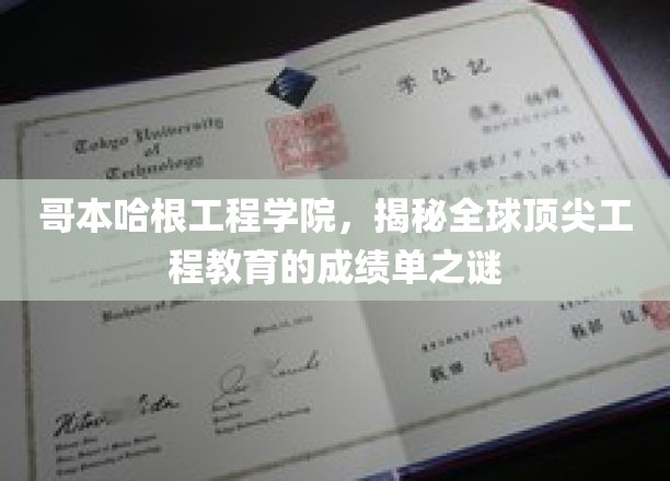 哥本哈根工程奇才，揭秘国际工程教育的卓越成就榜