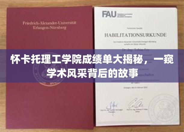 怀卡托理工，揭秘成绩单背后，那些闪耀的学术星光