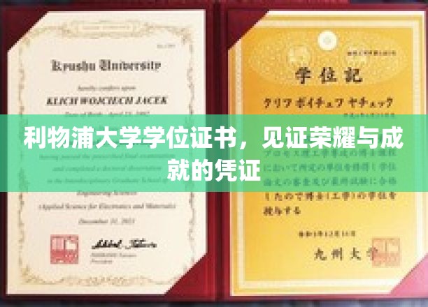 利物浦荣耀证书，承载荣耀与成就的学术里程碑
