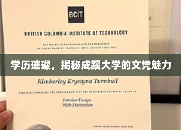 成蹊大学文凭闪耀，揭秘高学历背后的璀璨光环