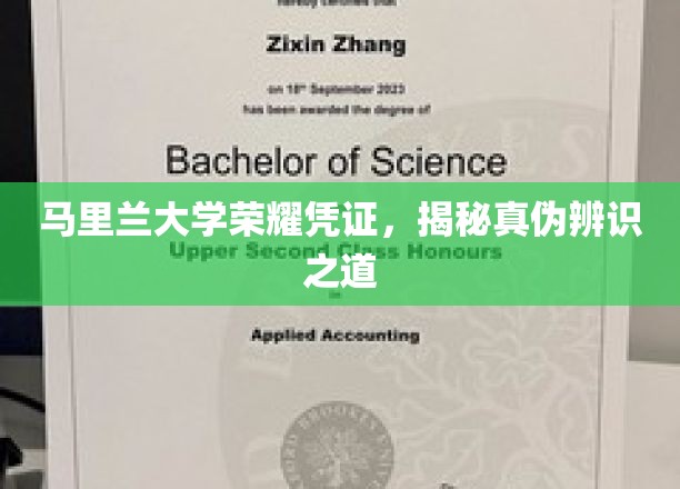 马里兰大学证书真伪鉴定攻略，揭开荣耀凭证的神秘面纱
