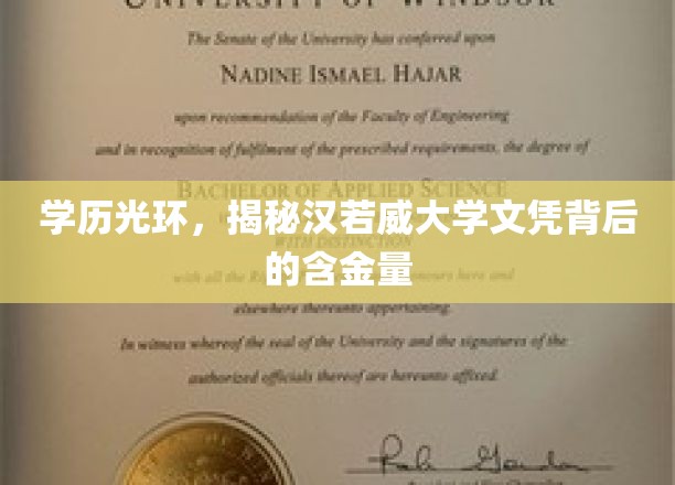 学历光环，揭秘汉若威大学文凭背后的含金量