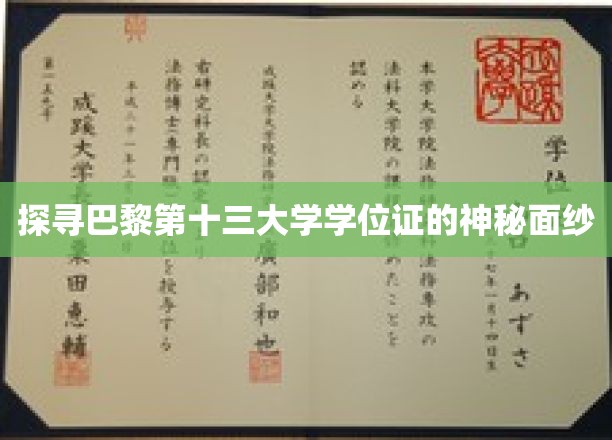 巴黎十三大学学位证背后的传奇之谜