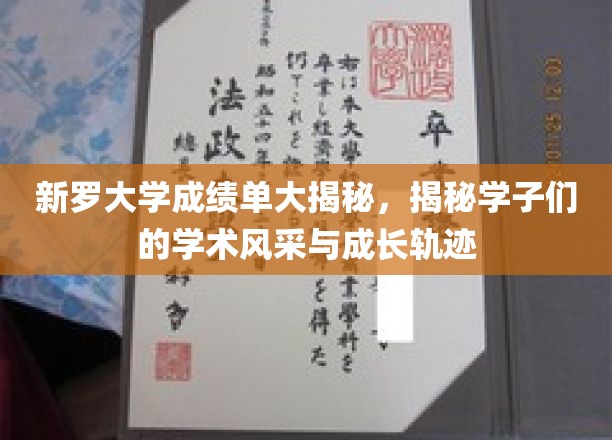 新罗学子成就录，揭秘学术风采与青春足迹
