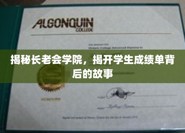 解码长老会学院，揭开学子成绩单的神秘面纱