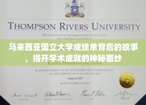 马来西亚国立大学成绩单背后的故事：揭开学术成就的神秘面纱