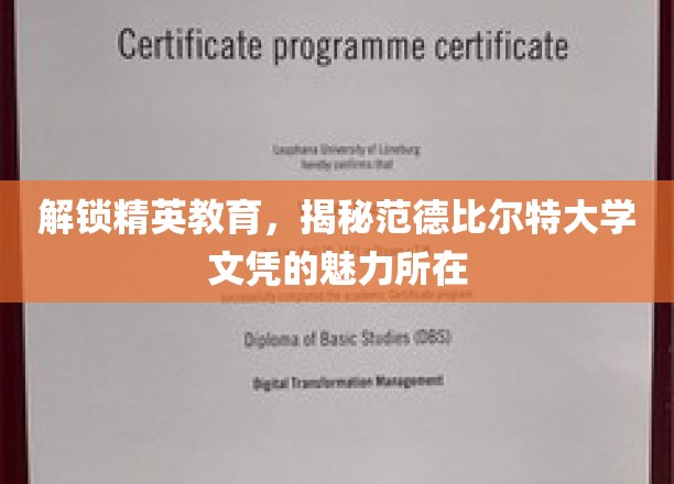 范德比尔特大学文凭，开启精英教育新视野的秘密钥匙