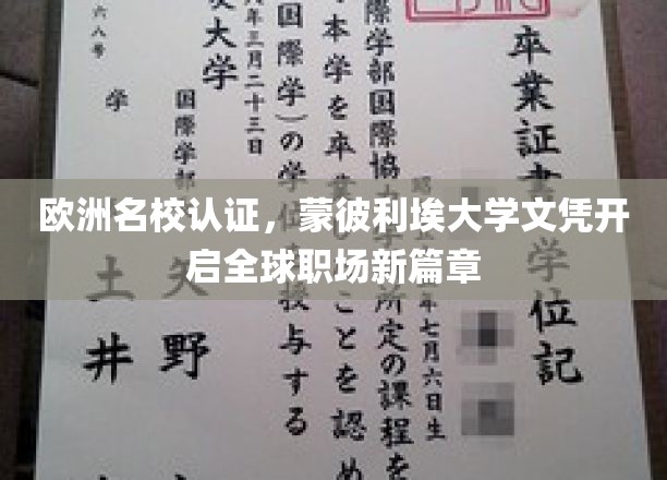 国际职场通行证，蒙彼利埃大学文凭引领欧洲教育新潮流