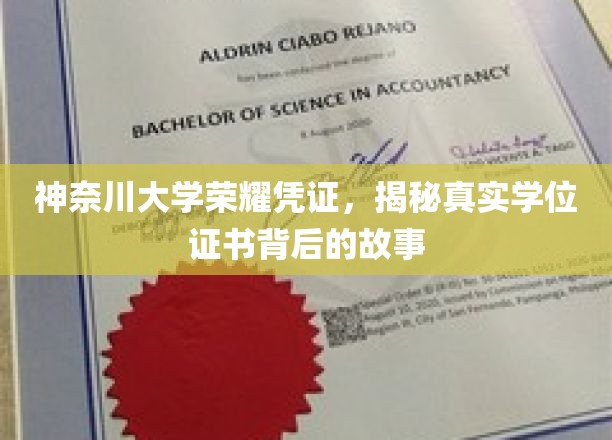 神奈川大学证书之谜，探寻学位背后的传奇与荣耀