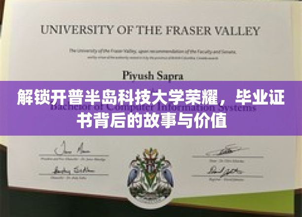 揭秘开普半岛科技大学毕业证书背后的故事与价值