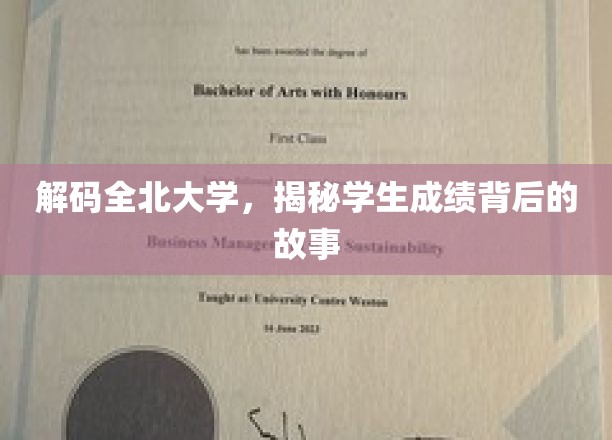 解码全北大学，揭秘学生成绩背后的故事