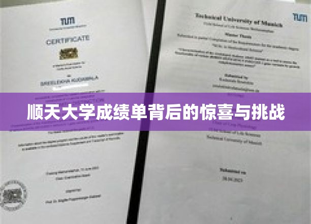 顺天大学成绩单背后的惊喜与挑战