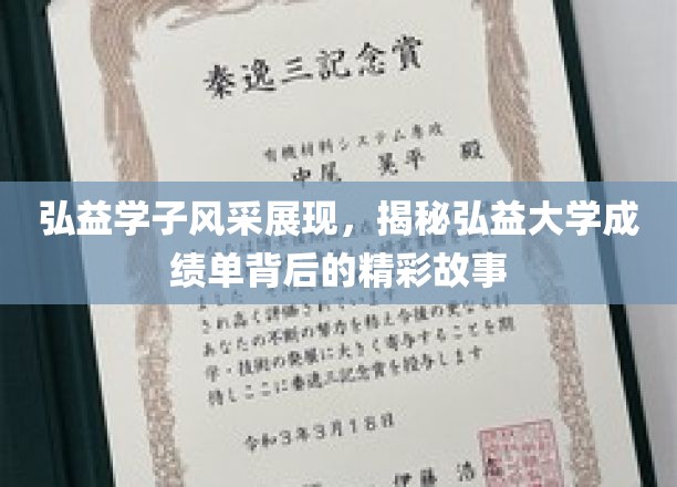 弘益大学风采录，揭秘学子成绩单背后的青春传奇