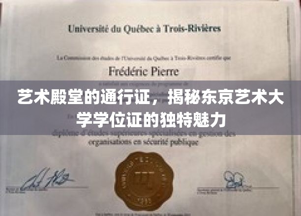 解锁东京艺术大学学位证的神秘魅力，艺术殿堂的专属凭证