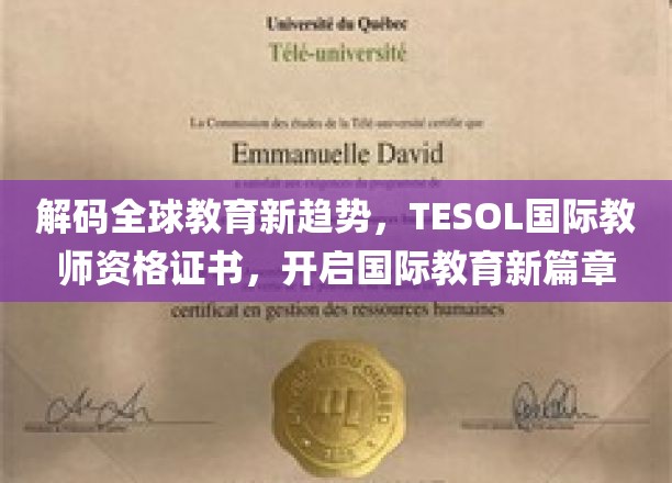 跨国教育风云再起，TESOL国际教师资格证，引领教育界未来潮流