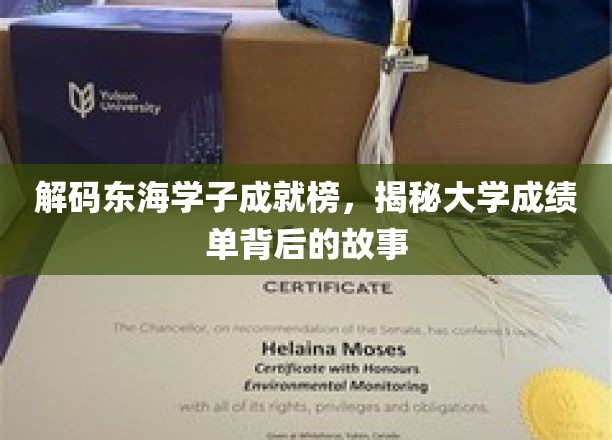 东海英才榜，揭秘高校学子非凡成绩背后的传奇历程