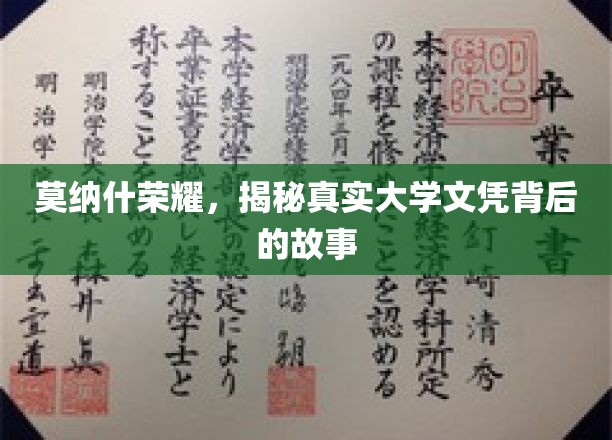 莫纳什荣耀揭秘，探寻学历背后的真实力与传奇