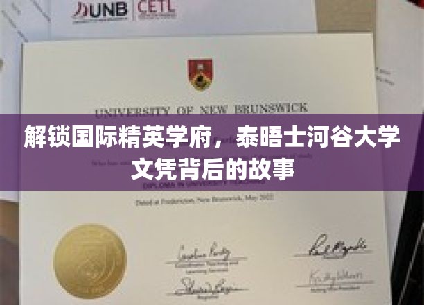 揭秘泰晤士河谷大学，精英摇篮背后的传奇与荣耀