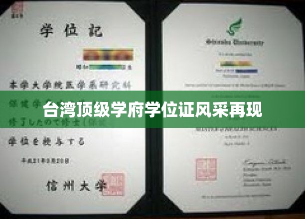 台岛精英凭证再现，顶级学府学位风采熠熠生辉