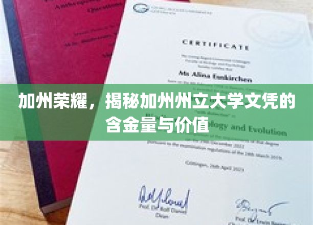 加州荣耀，揭秘加州州立大学文凭的含金量与价值