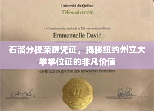 石溪分校荣耀见证，一探纽约州立大学学位证的非凡魅力