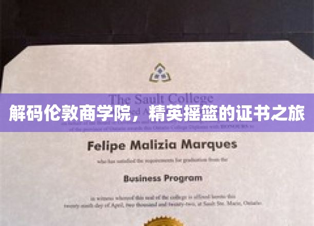 解码伦敦商学院，精英摇篮的证书之旅