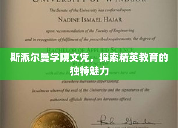 斯派尔曼学院文凭，探索精英教育的独特魅力