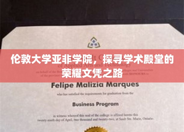 解码伦敦大学亚非学院，荣耀文凭背后的学术传奇