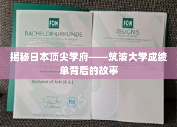 探秘筑波大学，揭秘顶尖学府背后的辉煌成就