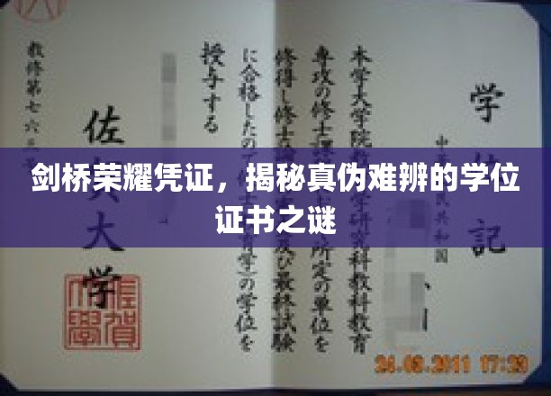 剑桥荣耀凭证，揭秘真伪难辨的学位证书之谜