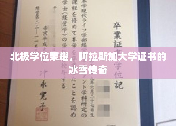 极地荣耀，阿拉斯加大学学位背后的冰雪传奇之旅