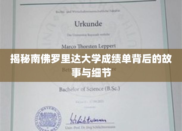 解码南佛罗里达大学成绩单，隐藏的真相与细腻洞察