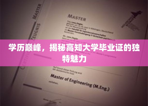 解码高学历光环，高知大学文凭的独特吸引力