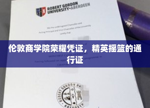 精英之路的黄金护照，伦敦商学院荣耀学位解锁全球职场大门