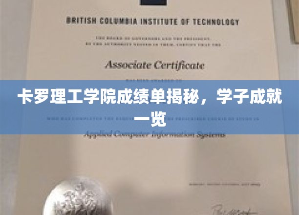 卡罗理工学院成绩单揭秘，学子成就一览