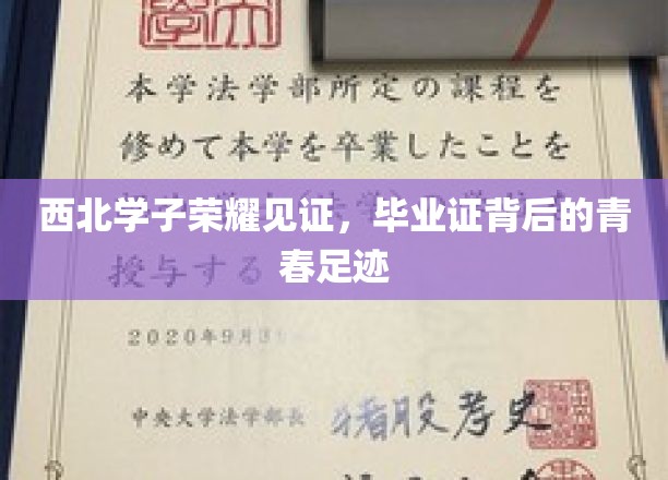 青春足迹映证西北荣耀，毕业证书见证学子辉煌