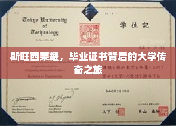 斯旺西荣耀，毕业证书背后的大学传奇之旅