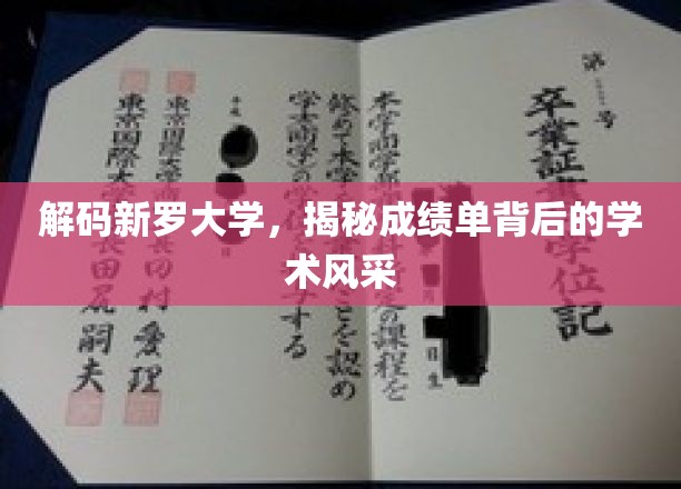 探寻新罗大学，成绩单背后的学术魅力揭秘