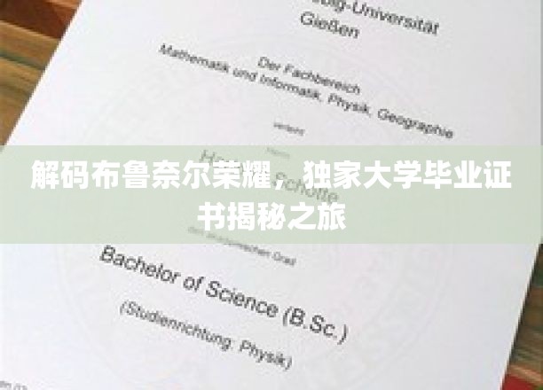 解码布鲁奈尔荣耀，独家大学毕业证书揭秘之旅