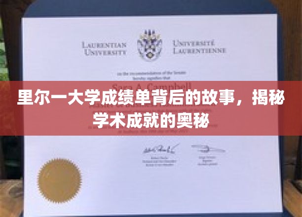 里尔大学成绩单背后，探寻学术卓越的神秘之路