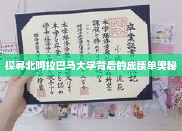 揭开北阿拉巴马大学成绩单背后的奥秘